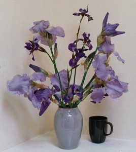 irises