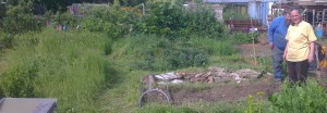 allotment